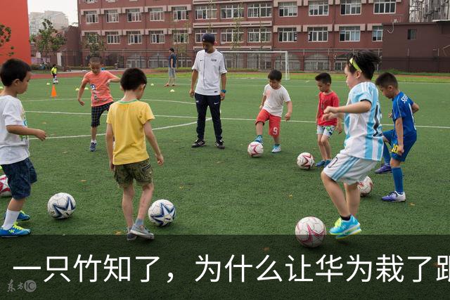 一只竹知了，为什么让华为栽了跟头？