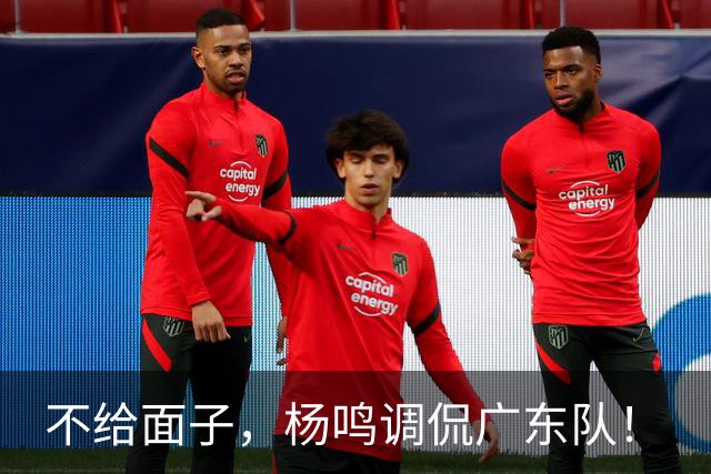 不给面子，杨鸣调侃广东队！