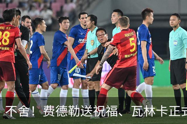 不舍！费德勒送祝福、瓦林卡正式退役