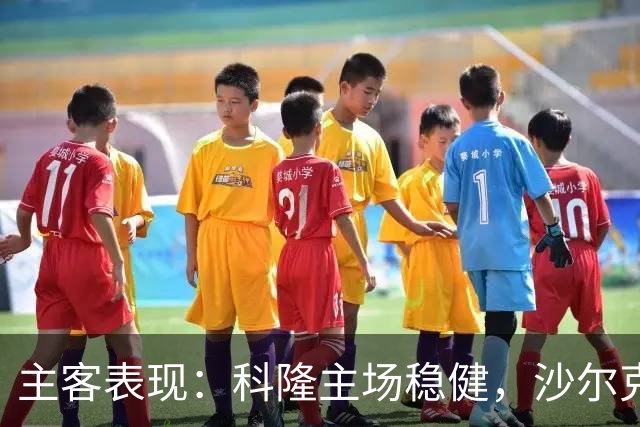 主客表现：科隆主场稳健，沙尔克客场起伏