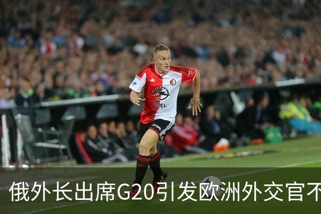 俄外长出席G20引发欧洲外交官不满，德国外长拒绝与其同框合影