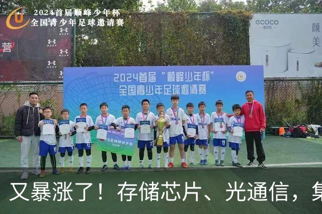 又暴涨了！存储芯片、光通信，集体大反攻！