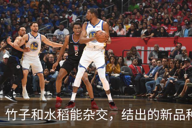 竹子和水稻能杂交，结出的新品种竹稻米能不能吃？怎么做到的？
