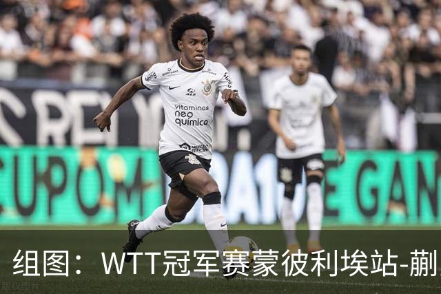 组图：WTT冠军赛蒙彼利埃站-蒯曼晋级8强 暴力回球