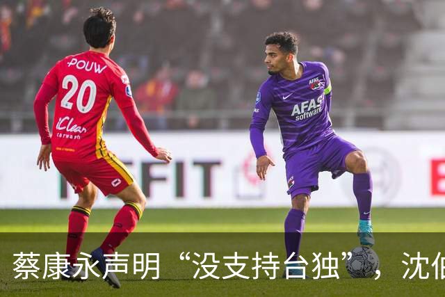 蔡康永声明“没支持台独”，沈伯洋指向大陆，岛内网红一句话亮了