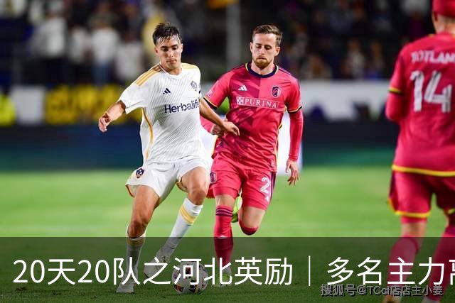 20天20队之河北英励｜多名主力离队 球队大换血